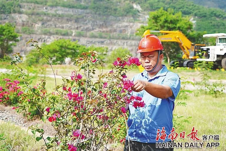 xk.com-星空(中国)
这座矿山，为何这么绿？4.jpg